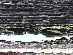 Mare Basse