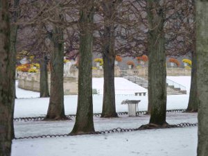 Jardin d'Hiver