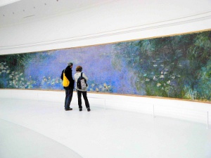 Nymphas sud - jaune monet